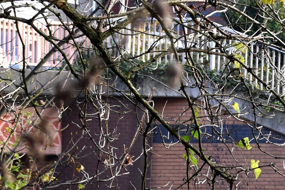 Duncan Edwards way, wall decoration representing coal seams beneath the town