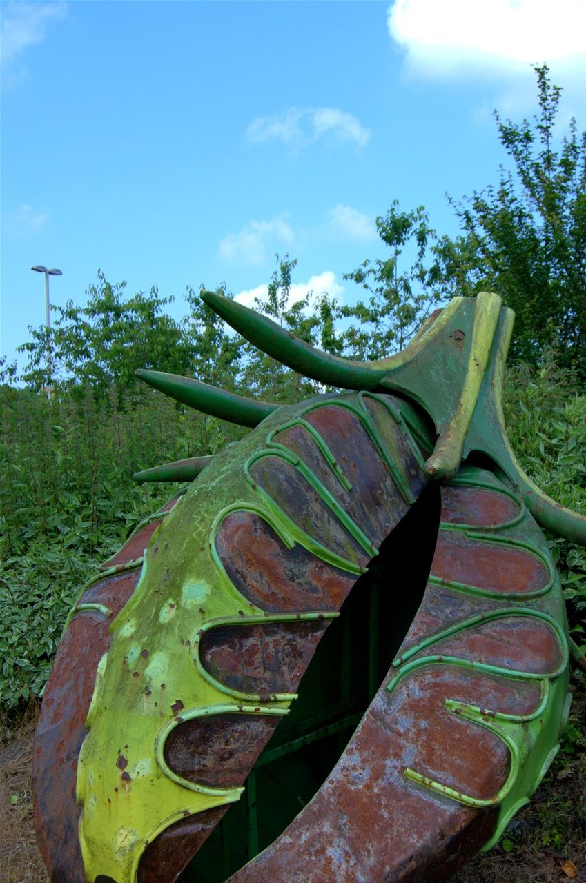 Living fossil by Natasha Carsberg