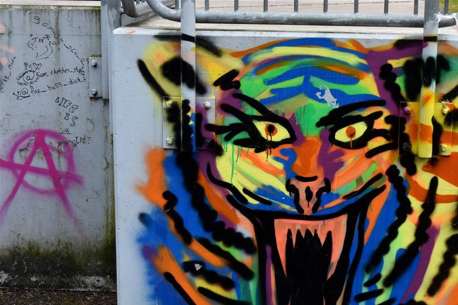 Graffiti in Stevens Park May 2020