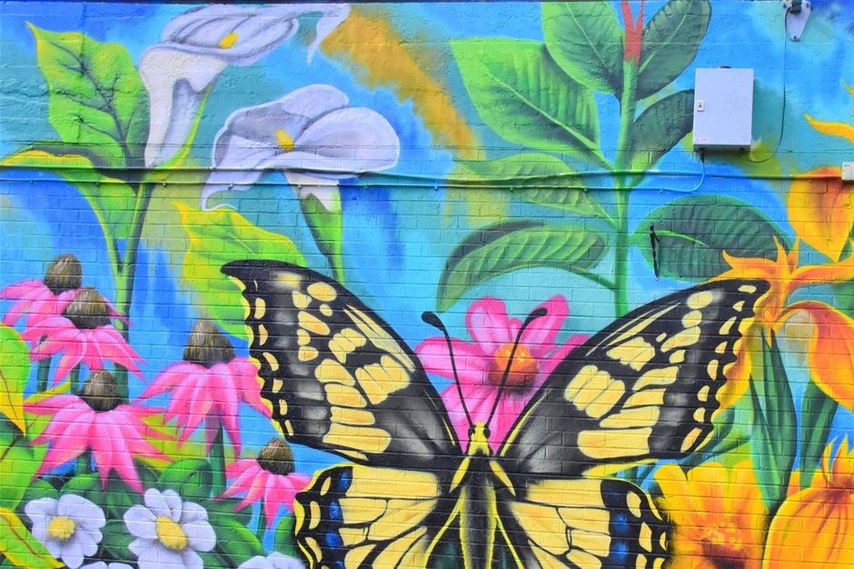 Car park of Old Queens head Birmingham st by Halesowen Bid and Graffiti box