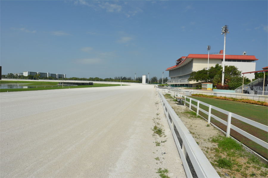 0pompanorace25juni2019a