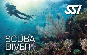 SSI Scuba Diver: Your First Step to Scuba Certification