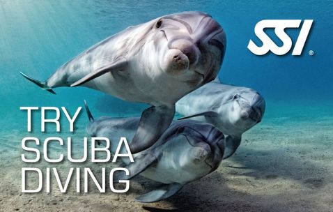 SSI Try Scuba Diving: Je Eerste Duikavontuur Begint Hier!