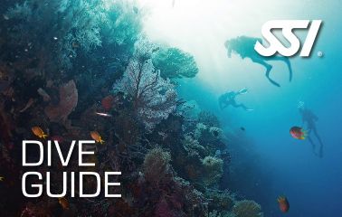 Elevate Your Career in Curacao: SSI Dive Guide Certification