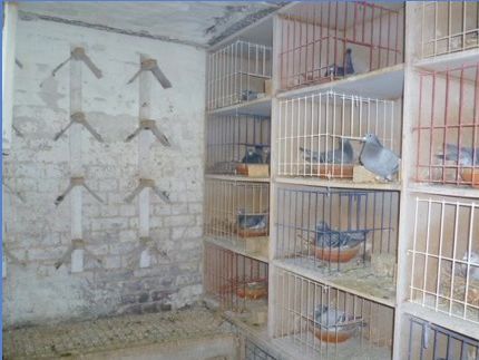 Vue sur les boxes des veufs.