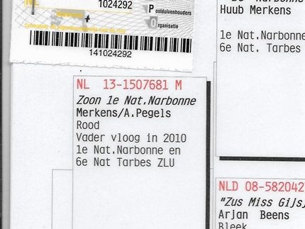 klik om te vergroten