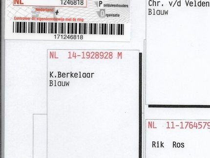 klik om te vergroten