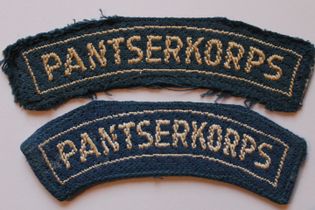 Pantserkoprs