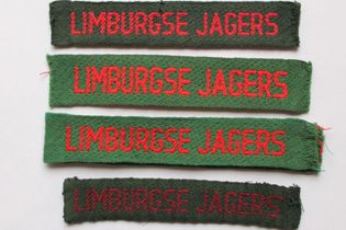 Regiment Limburgse Jagers (RLJ)
