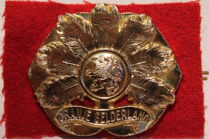 Baretembleem 6e Infanterie Bataljon
