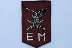 11e Luchtmobiele Brigade
