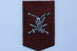 11e Luchtmobiele Brigade