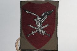 11 Lucht Mobiele Brigade