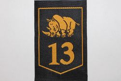 13 Gemechaniseerde Brigade