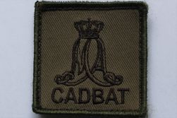 Koninklijke Militaire Academie, Cadettenbataljon