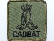 Koninklijke Militaire Academie, Cadettenbataljon