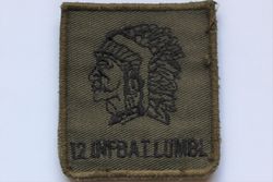 12 Infanterie Bataljon Luchtmobiel