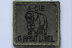 13 Infanterie Bataljon Luchtmobiel, RST