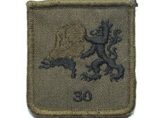 30 Nationale Reserve (NATRES) Bataljon