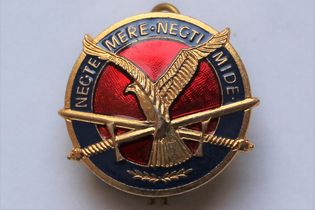 Luchtmobiele Brigade (LMB)