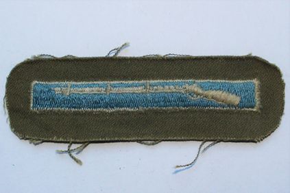 Expert Infantryman Badge (CIB)