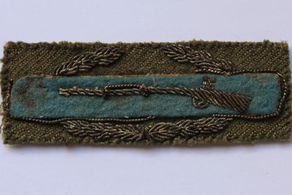 Combat Infantryman Badge (CIB)