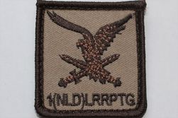 MINUSMA LRRPTG