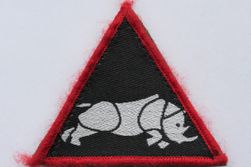 SFOR