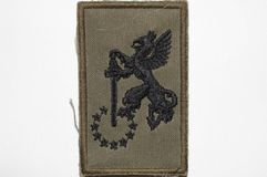 41 Lichte Brigade