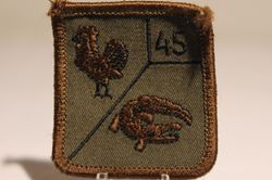 45 Pantser Infanterie Bataljon Oranje Gelderland RIOG