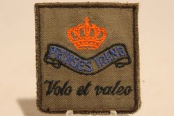 17 Pantser Infanterie Bataljon Garde Fuseliers Prinses Irene GFPI