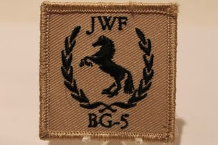 Task Force Uruzgan (TFU/ISAF)