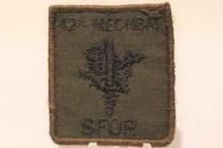 SFOR-4
