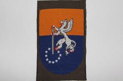 41 Lichte Brigade