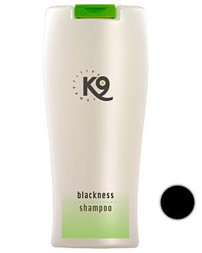 k9competition_blacknessschampo_1