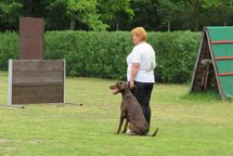IMG_4777-1024x684