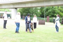 IMG_4829-1024x684