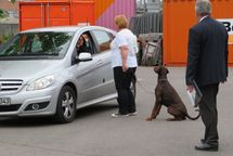 IMG_4878-1024x684