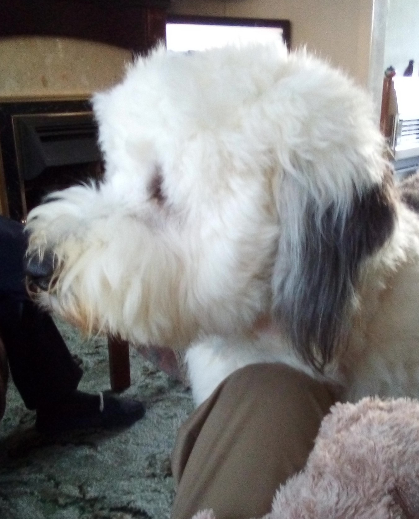 218) Bailey