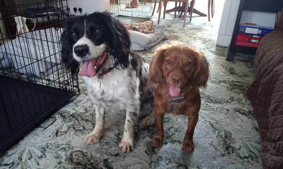 353) Nellie & Ruby