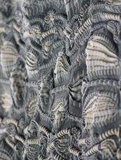 Shibori
