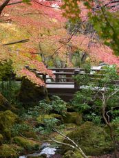 Kawaguchiko, Fuji