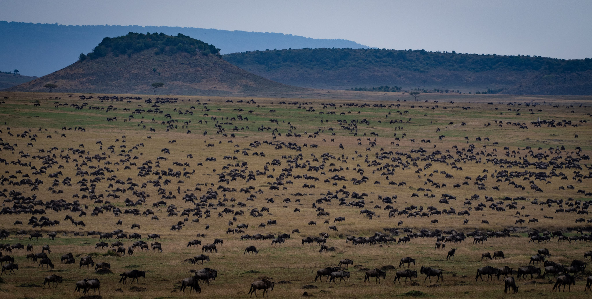 0e2f21517005e5e904a0cabb59373814