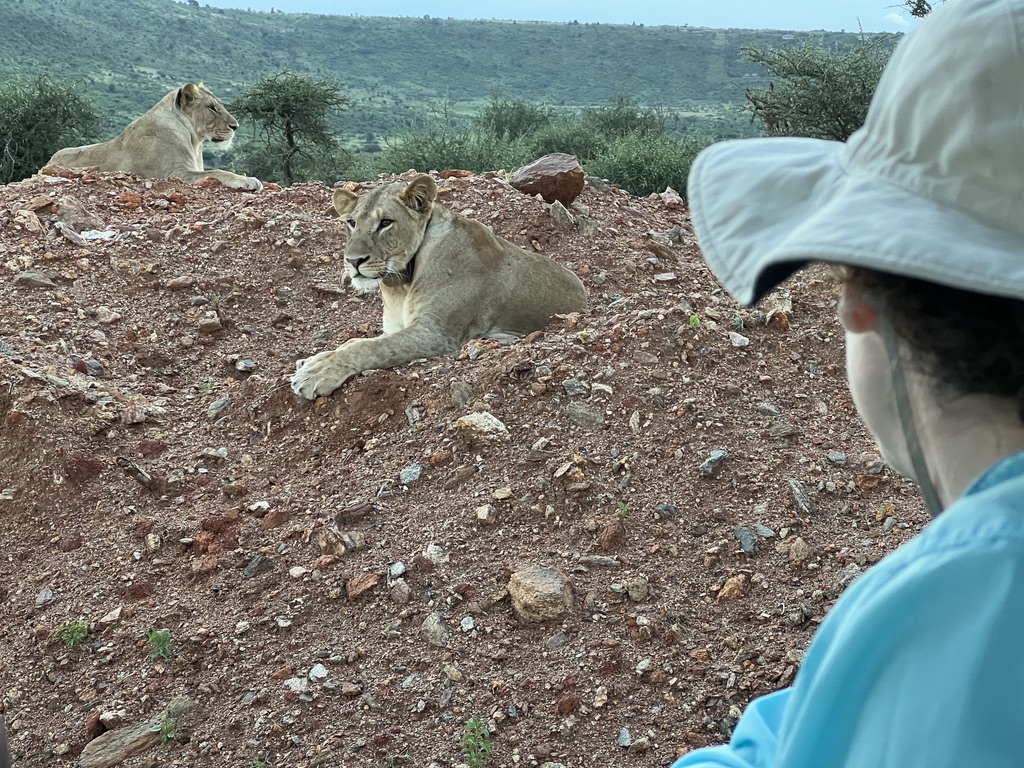 C6933674-CD3B-4F18-9528-555641B5D31A_1_105_c