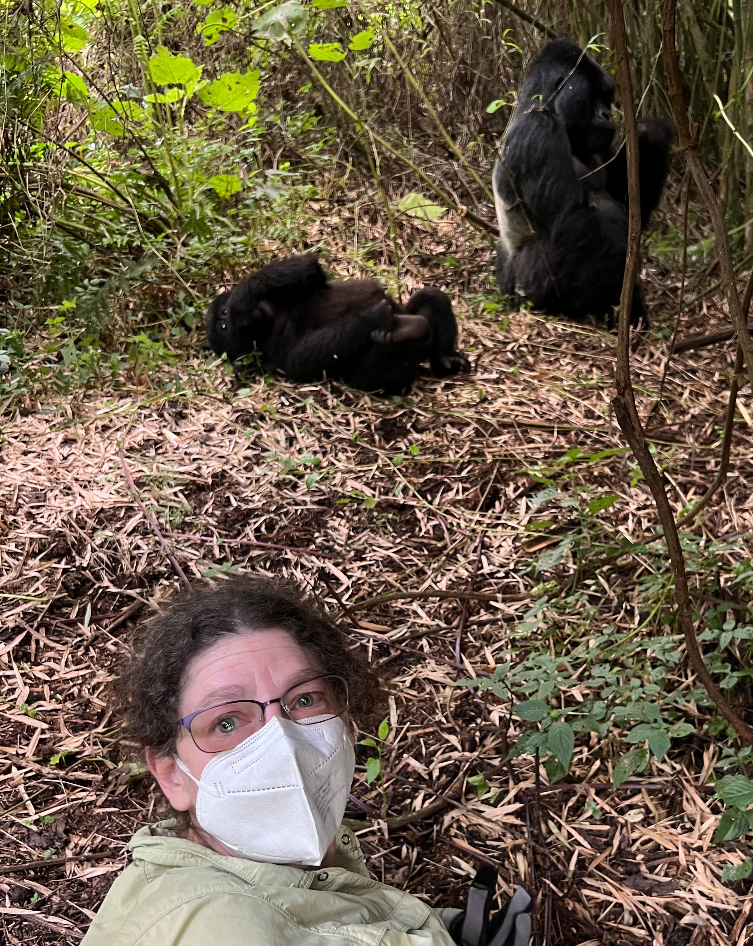 IMG_1402___serialized1