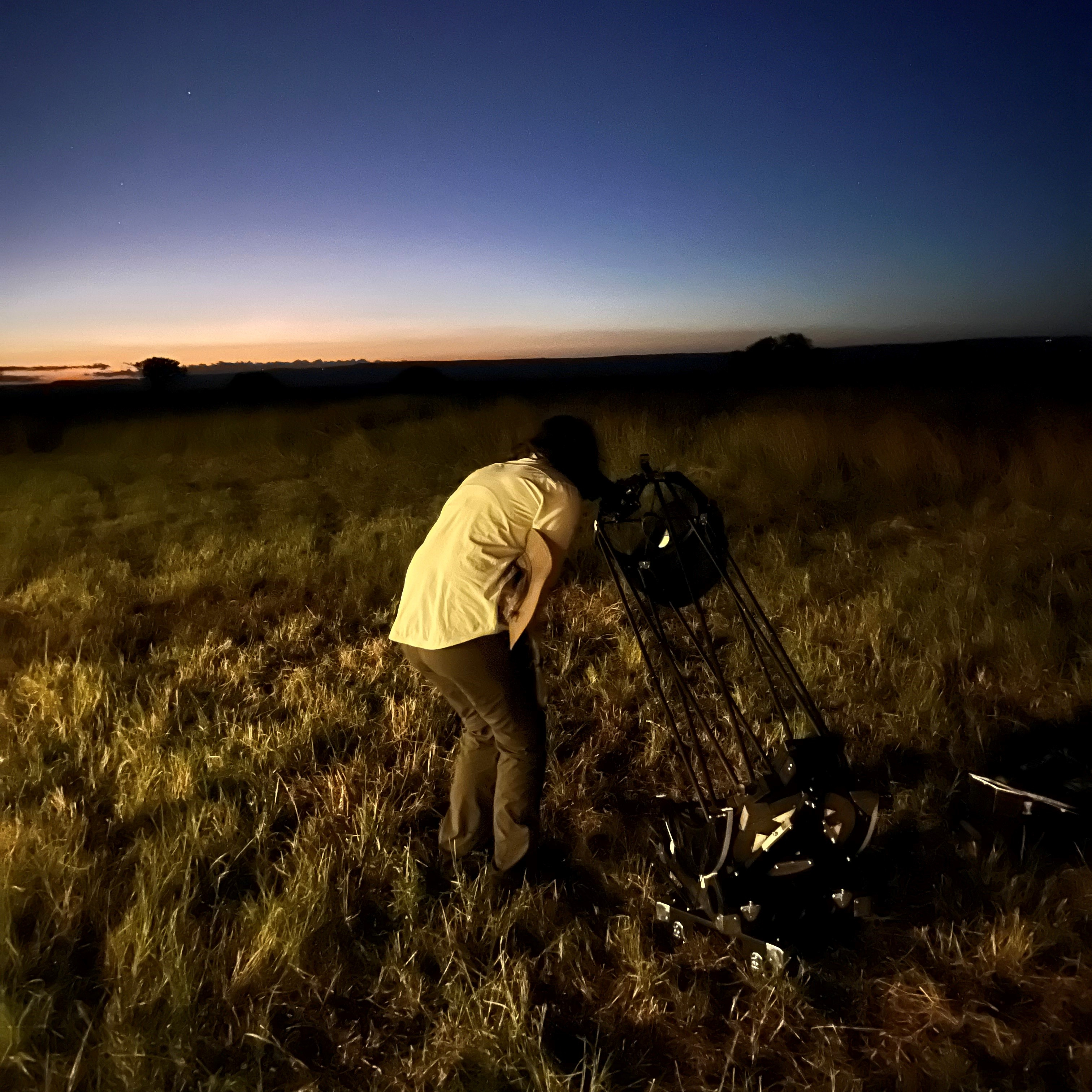 Serengeti through our scope