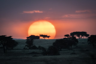 cf925cb8e906ec0b4c70160617092431