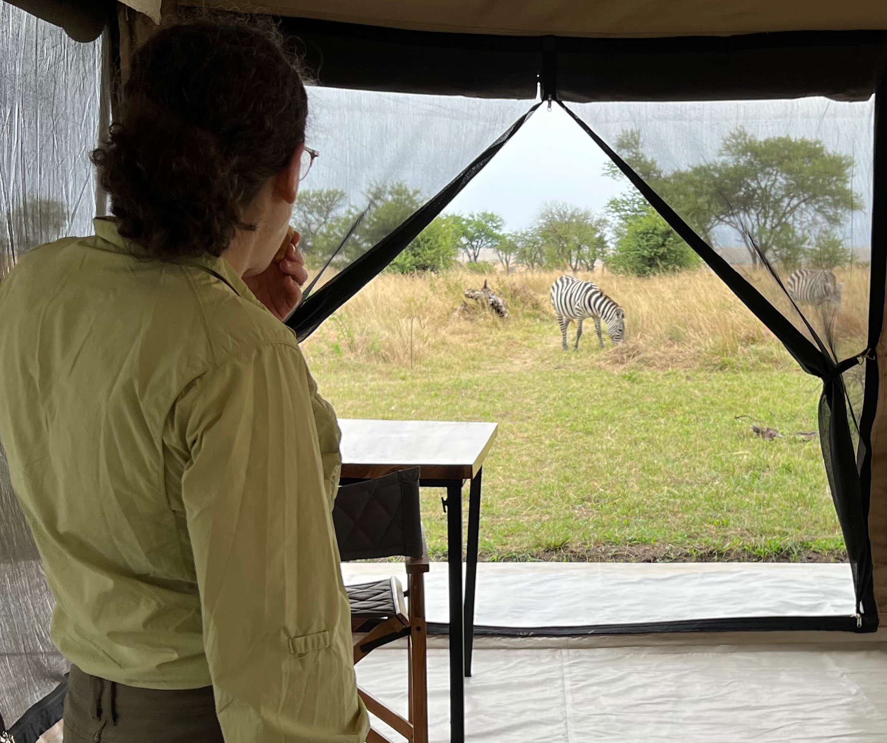 breakfast with zebras