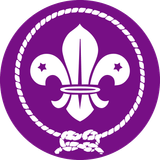scout-international
