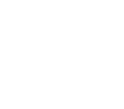 Early Care International